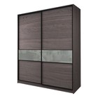 Шкаф-купе 2-х дверный Max 2/99, 2200×600×2300 мм, цвет ясень анкор тёмный / стекло светло-серое - Фото 1
