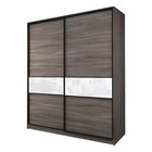 Шкаф-купе 2-х дверный Max 2/99, 2200×600×2300 мм, цвет ясень шимо тёмный / стекло белое - Фото 1