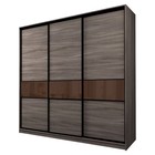 Шкаф-купе 3-х дверный Max 2/999, 2400×600×2300 мм, цвет ясень шимо тёмный / стекло шоколад - Фото 1