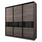 Шкаф-купе 3-х дверный Max 2/999, 2400×600×2300 мм, цвет ясень шимо тёмный / стекло чёрное - Фото 1