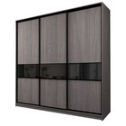 Шкаф-купе 3-х дверный Max 2/999, 2400×600×2300 мм, цвет ясень анкор тёмный / стекло чёрное - Фото 1