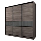 Шкаф-купе 3-х дверный Max 2/999, 2400×600×2300 мм, цвет ясень шимо тёмный / стекло тёмно-серое - Фото 1