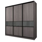 Шкаф-купе 3-х дверный Max 2/999, 2400×600×2300 мм, цвет ясень анкор тёмный / стекло тёмно-серое - Фото 1