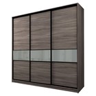 Шкаф-купе 3-х дверный Max 2/999, 2400×600×2300 мм, цвет ясень шимо тёмный / стекло светло-серое - Фото 1