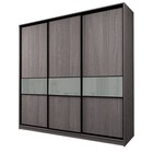 Шкаф-купе 3-х дверный Max 2/999, 2400×600×2300 мм, цвет ясень анкор тёмный / стекло светло-серое - Фото 1
