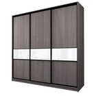 Шкаф-купе 3-х дверный Max 2/999, 2400×600×2300 мм, цвет ясень анкор тёмный / стекло белое - Фото 1