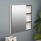 Зеркало-шкаф для ванной комнаты "Винтер 60", Винтерберг, 60 х 66,7 х 12,3 см - фото 11300643