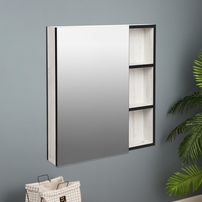 Зеркало-шкаф для ванной комнаты "Винтер 60", Винтерберг, 60 х 66,7 х 12,3 см