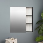 Зеркало-шкаф для ванной комнаты "Винтер 60", Винтерберг, 60 х 66,7 х 12,3 см - Фото 3
