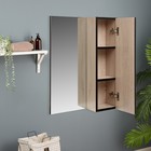 Зеркало-шкаф для ванной комнаты "Сантана 50", Дуб Сантана светлый, 50 х 70 х 16 см - Фото 2