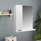 Зеркало-шкаф для ванной комнаты "Джой 60", 71,5 х 60 х 16 см - фото 11300646