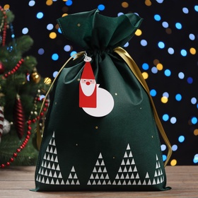 Мешок подарочный новогодний «Волшебный лес» зелёный, 30?45 см (комплект 5 шт)
