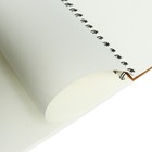 Скетчбук для пастели "Поля", 30 листов, 25 х 35 см, жетская обложка, 130 г/м2, МИКС - Фото 9