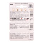 Батарейка алкалиновая Nanfu, AAA, LR03-3BL, 1.5В, блистер, 3 шт. - фото 51470158 Батарейка алкалиновая Nanfu, AAA, LR03-3BL, 1.5В, блистер, 3 шт. - фото 51470158