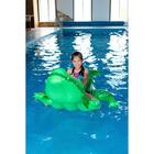 Игрушка для плавания INTEX «Аллигатор» 58562NP, с ручками, 203×114 см, от 3 лет - Фото 4