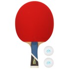 Набор для настольного тенниса Double Fish 5A-C: 1 ракетка, 2 мяча - фото 11369805