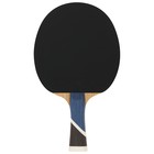 Набор для настольного тенниса Double Fish 5A-C: 1 ракетка, 2 мяча - Фото 3