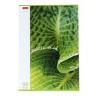 Тетрадь А4, 80 листов, клетка, "Природа в каждом из нас", обложка мелованный картон, блок 60 г/м2, 3В МИКС - фото 23008249