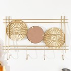 Крючки декоративные с зеркалом металл "Круги" 45х6х30 см - фото 23008298