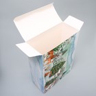 Складная коробка «Сказочный подарок!», 22 × 30 × 10 см - Фото 3