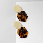 Серьги акрил «Геометрия», цвет коричневый в золоте - фото 7618228