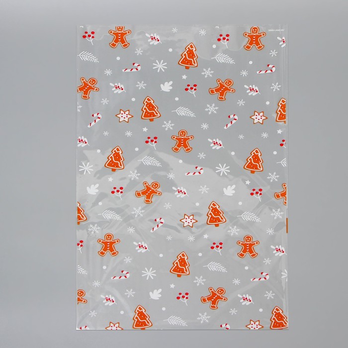 Пакет БОПП «Новогодние атрибуты», 25 × 40 см 9670279