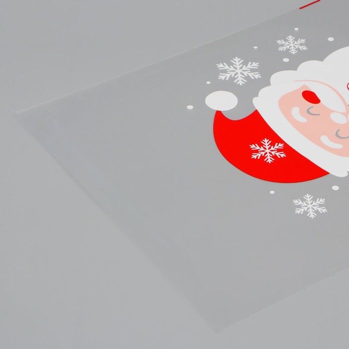 Пакет БОПП «Дедушка Мороз», 25 × 40 см