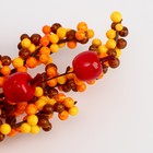 Декор на палочке «Осенние ягоды» 6 × 20 × 30 см - фото 7618475