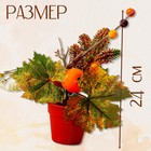 Декоративная композиция «Осенний урожай» 10 × 20 × 24 см - Фото 2