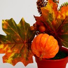 Декоративная композиция «Осень» 10 × 16 × 18 см - Фото 3