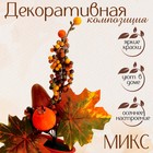 Декоративная композиция «Осенние настроение» 10 × 16 × 20 см, МИКС - фото 301019274