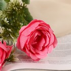 Букет "Роза индиголетта" 6х27 см, микс - Фото 2