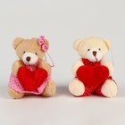 Мягкая игрушка «Медведь с сердцем» на подвесе, виды МИКС - фото 3623947