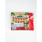 Гирлянда "С Новым Годом!" (шары), дл. 2 м 9826608