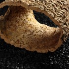 Укрытие для террариума, кора дуба, d = 5 - 15 см, длина 15 см - фото 23070605