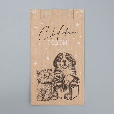 Пакет бумажный фасовочный, V-образное дно «Снежинки», 20 х 11