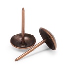 Гвозди ТУНДРА, декоративные, обивочные, 10?18.5 мм, медь, фасовка 50 шт. (комплект 4 шт) - фото 26643368