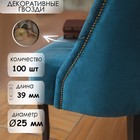 Гвозди ТУНДРА, декоративные, обивочные, 25×39 мм, бронза, 100 шт. - Фото 1