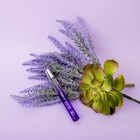 Туалетная вода для женщин «Elite D'Arpel» по мотивам Eclat D'Arpege, Lanvin, 15 мл - Фото 2