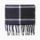 Шарф мужской, цвет синий/клетка, размер 31х170 - фото 25432203
