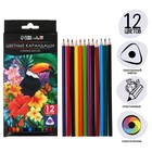 Карандаши Calligrata, 12 цветов, трёхгранные, пластиковые - Фото 1