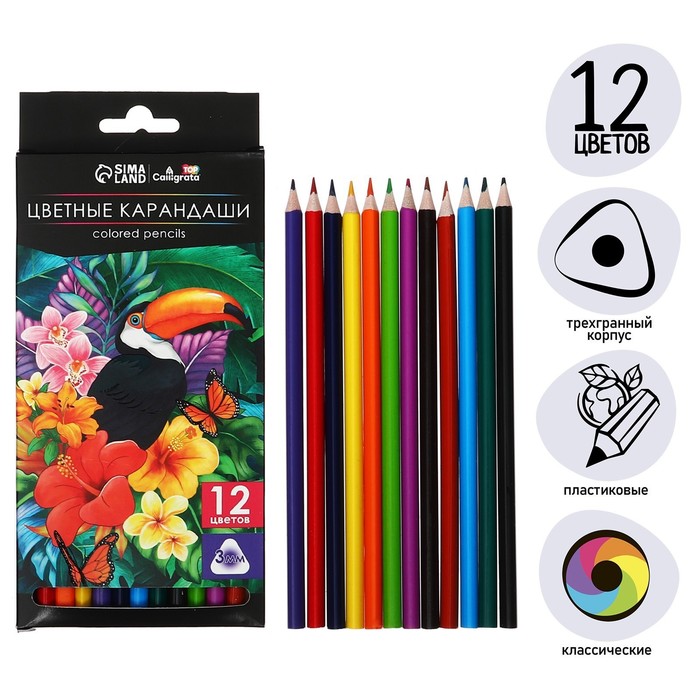 Карандаши Calligrata, 12 цветов, трёхгранные, пластиковые
