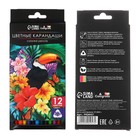 Карандаши Calligrata, 12 цветов, трёхгранные, пластиковые - Фото 3