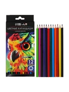 Карандаши цветные, 12 цветов, Calligrata TOP, шестигранные, пластиковые - Фото 4