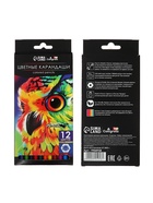 Карандаши цветные, 12 цветов, Calligrata TOP, шестигранные, пластиковые - Фото 6