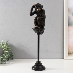 Сувенир полистоун 'Шимпанзе на жёрдочке' 10х10х47,2 см