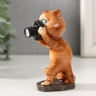 Фигурка полистоун лак «Котишка фотокорреспондент», 6×4.5×9 см - Фото 4