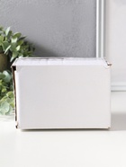 Сувенир полистоун лак "Совята пухлики" 10,5х6,3х8 см - фото 809523615