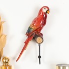 Крючок декоративный полистоун лак "Попугай Ара" 9х6,5х22,7 см - фото 320335656