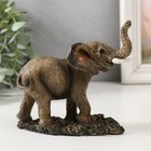 Сувенир полистоун "Слон на прогулке" 12,5х6,2х11 см - фото 3105448